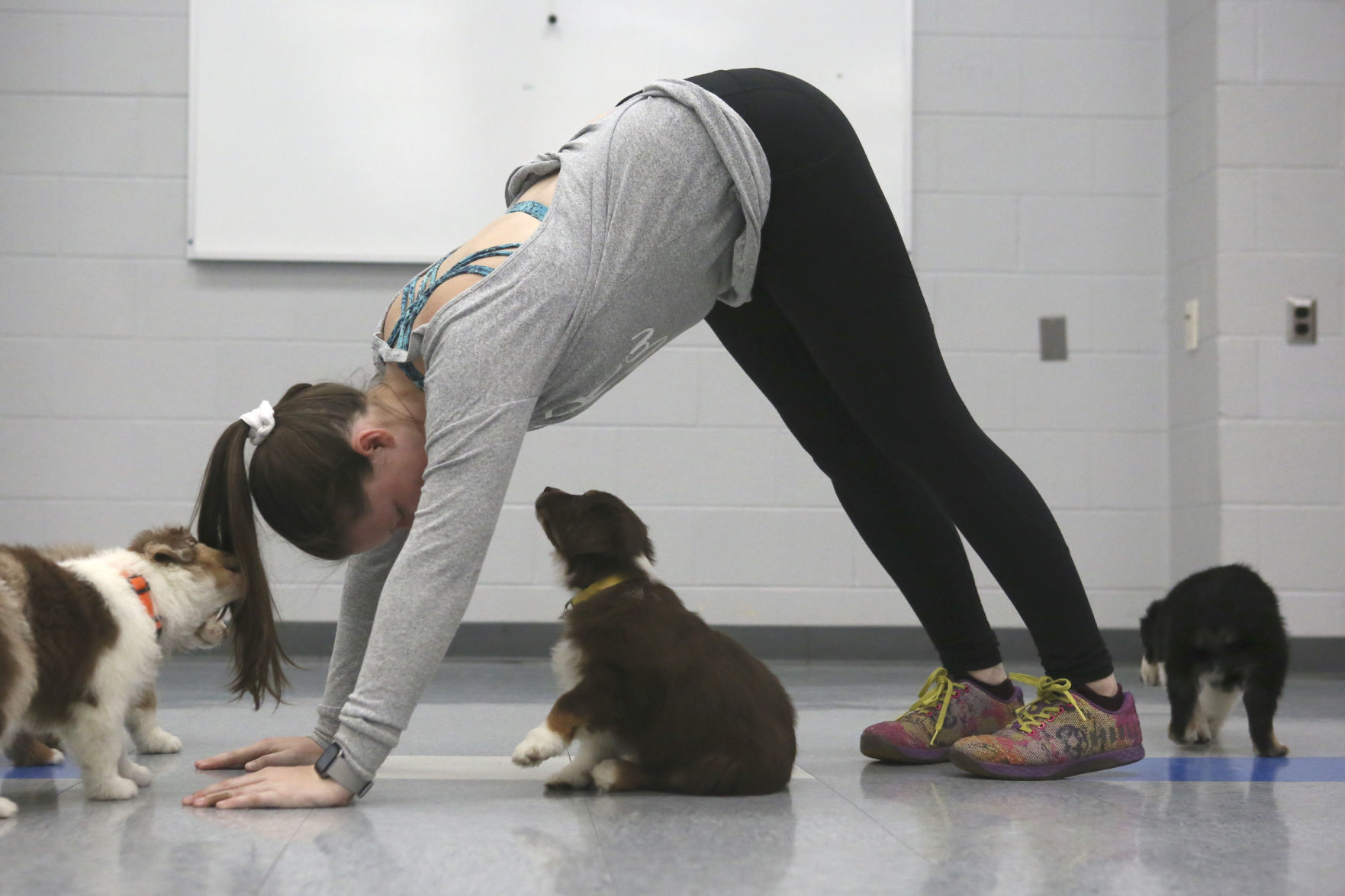 MG Puppy Pilates 010720